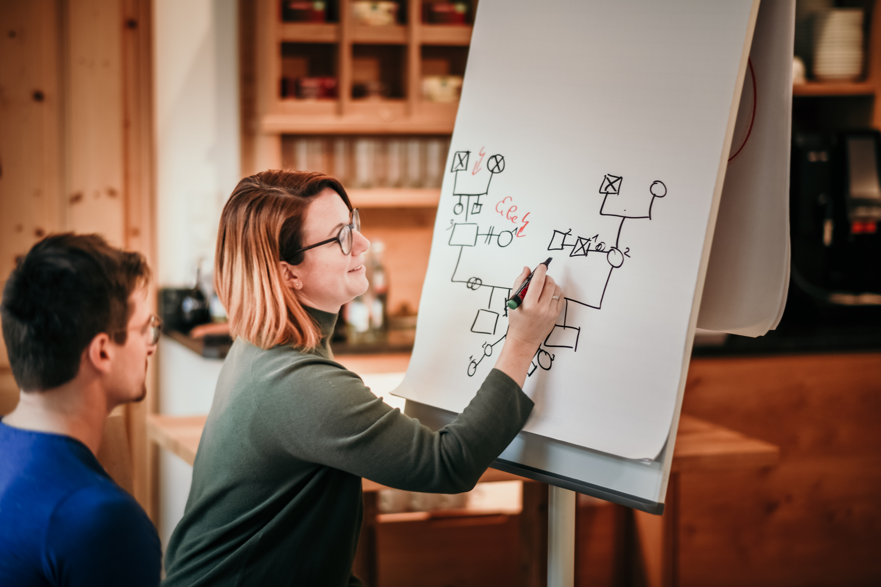 Coaching, Kindertraining, Verenea Strobl, Pferdegestützes Coaching, Strukturaufstellung, Aufstellung,