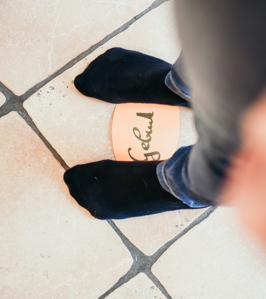 Coaching, Kindertraining, Verenea Strobl, Pferdegestützes Coaching, Strukturaufstellung, Aufstellung,