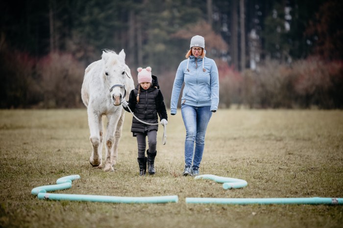 Coaching, Kindertraining, Verenea Strobl, Pferdegestützes Coaching, Strukturaufstellung, Aufstellung,