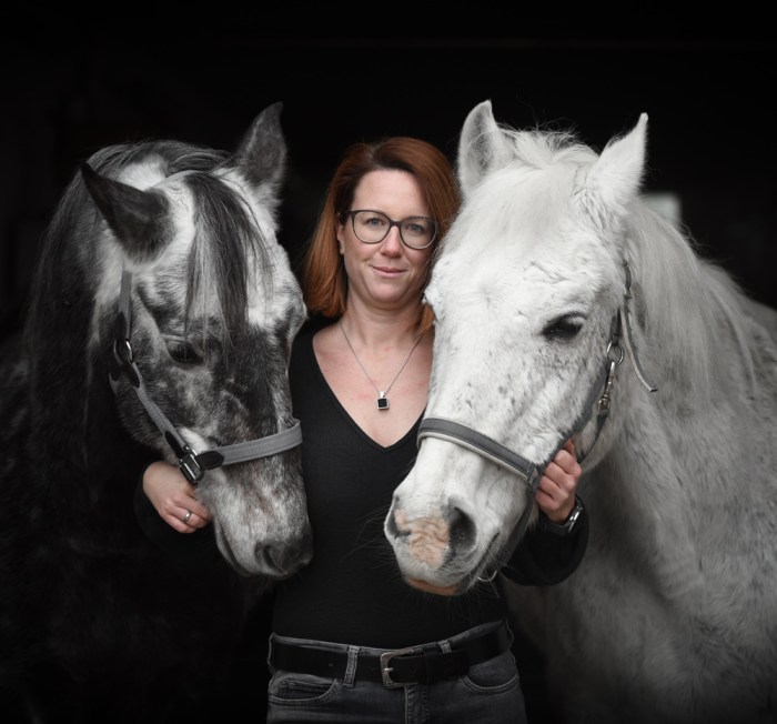 Coaching, Kindertraining, Verenea Strobl, Pferdegestützes Coaching, Strukturaufstellung, Aufstellung,